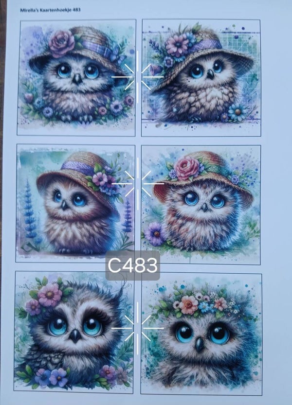 Collagevel C483