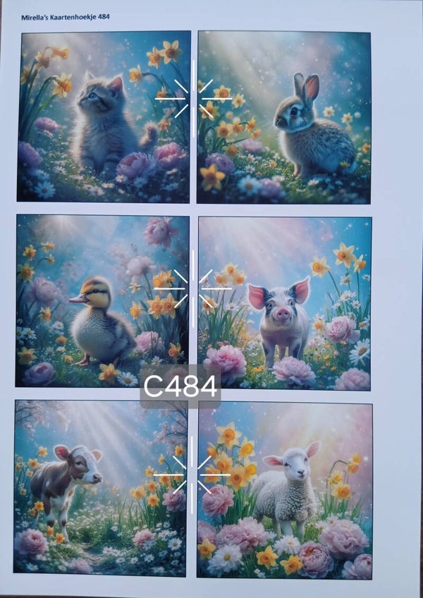 Collagevel C484