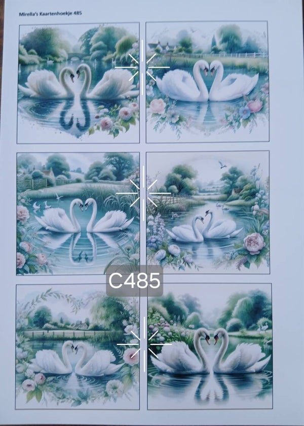 Collagevel C485