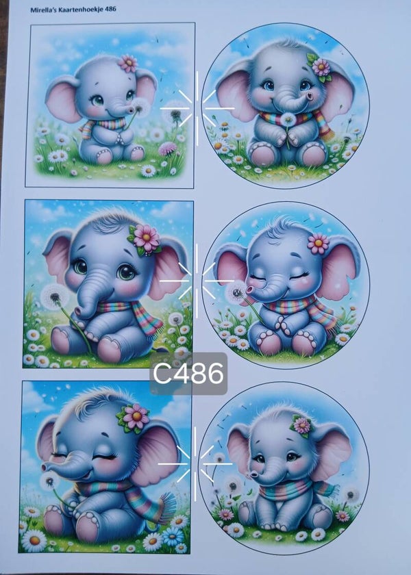 Collagevel C486