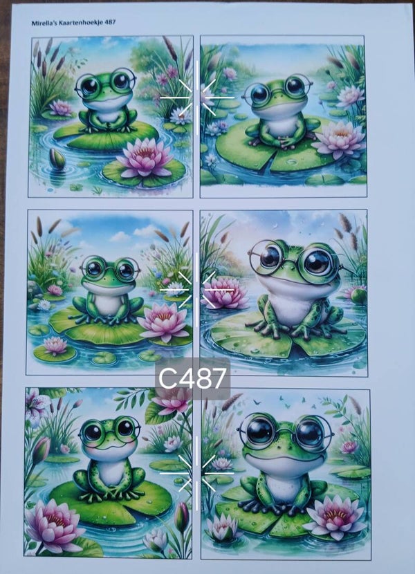 Collagevel C487