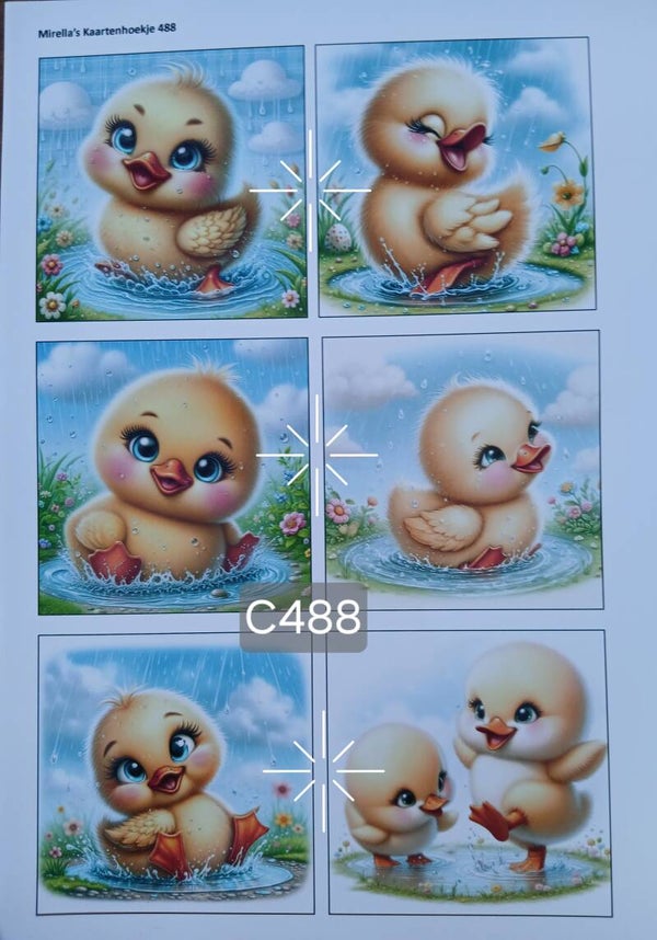 Collagevel C488