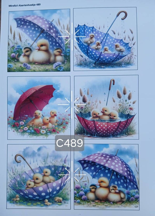 Collagevel C489