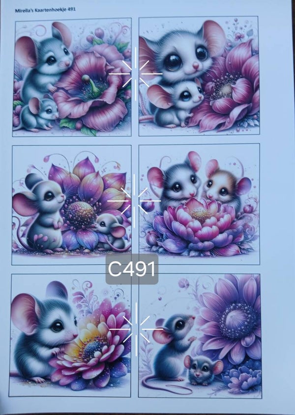 Collagevel C491