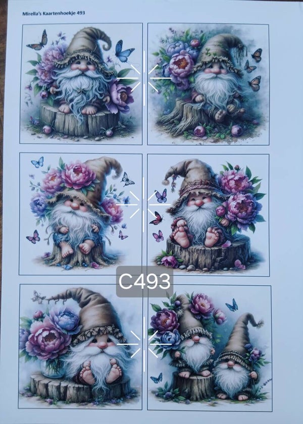Collagevel C493