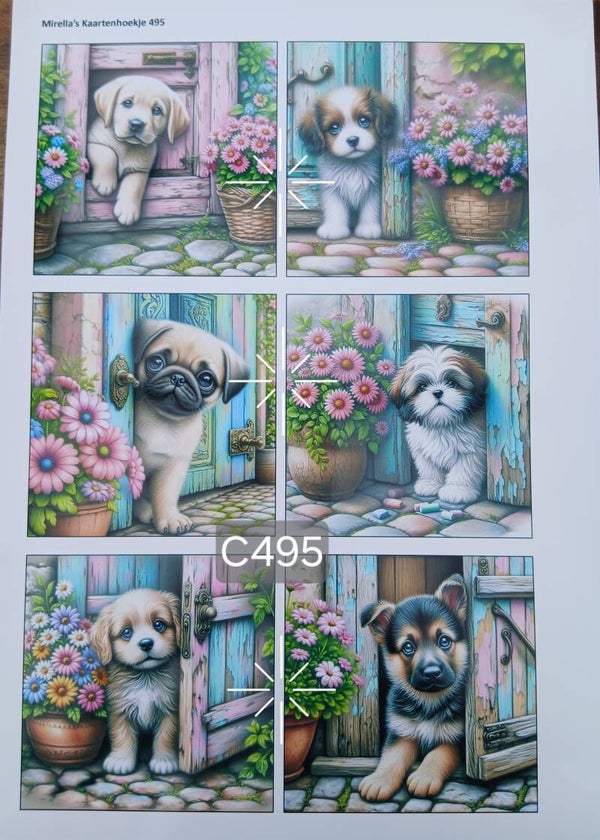 Collagevel C495