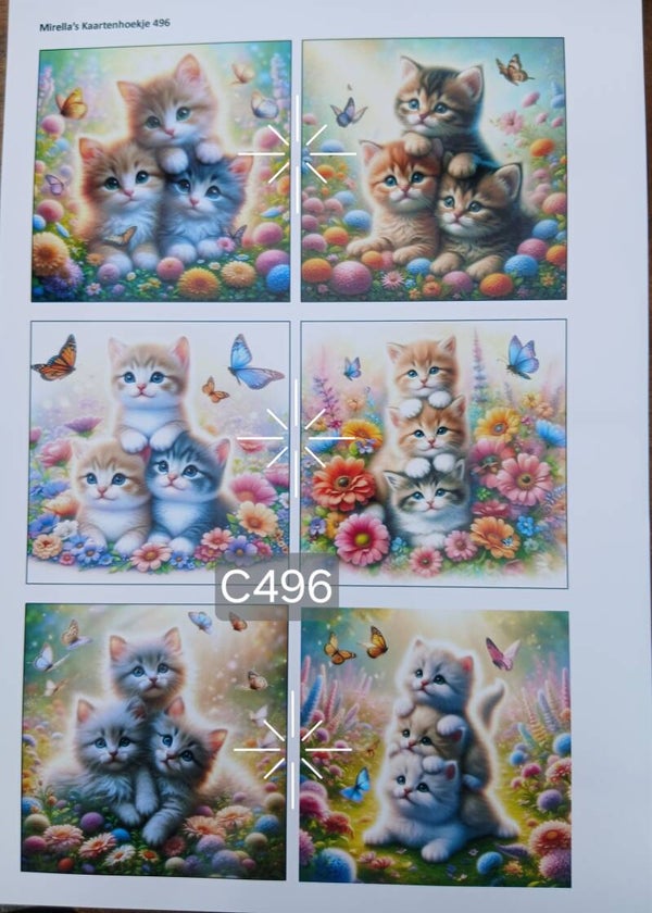 Collagevel C496