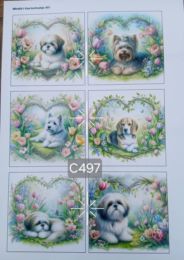 Collagevel C497
