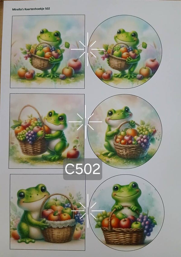 Collagevel C502