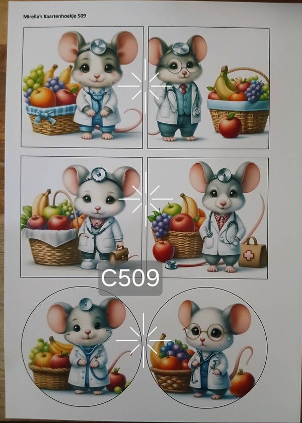 Collagevel C509