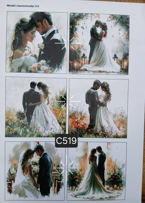 Collagevel C519