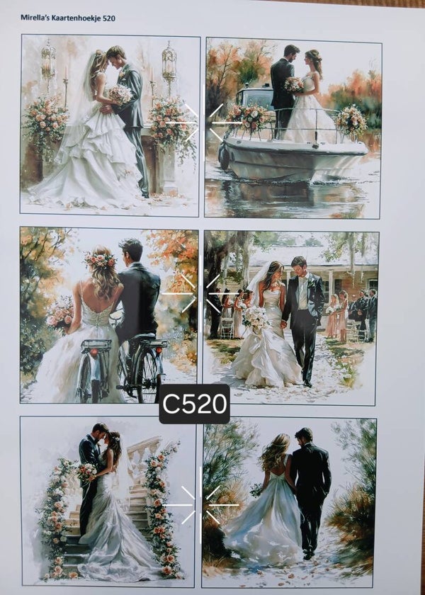 Collagevel C520