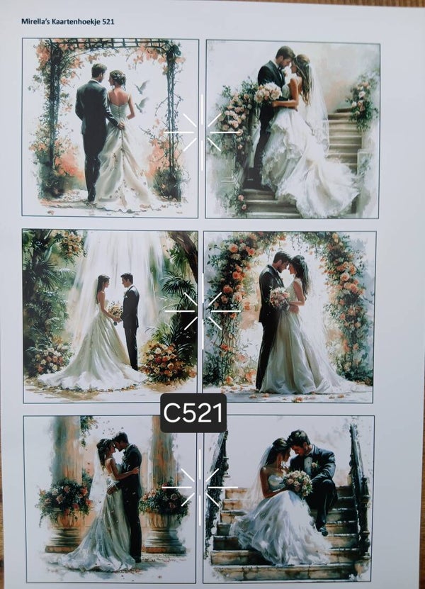 Collagevel C521
