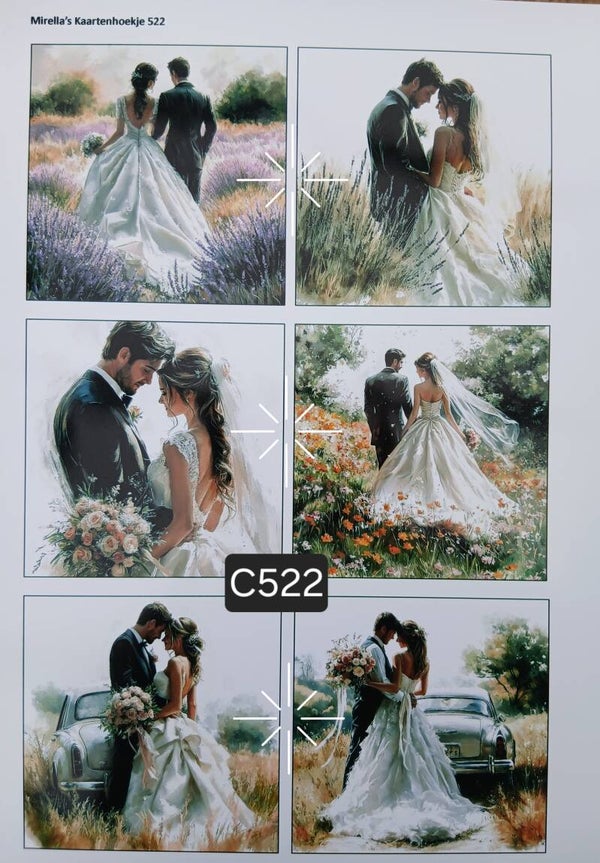 Collagevel C522
