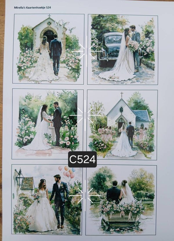 Collagevel C524