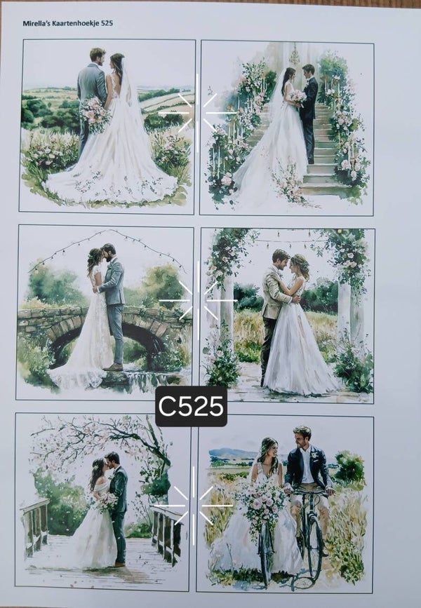 Collagevel C525