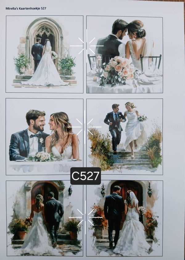Collagevel C527