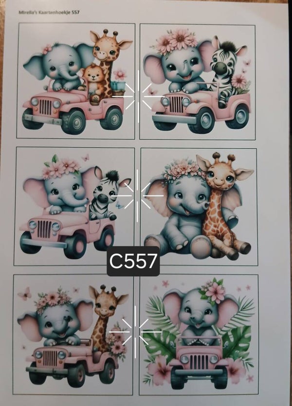 Collagevel C557