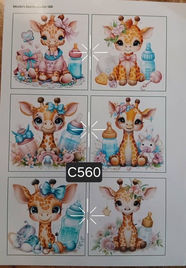 Collagevel C560