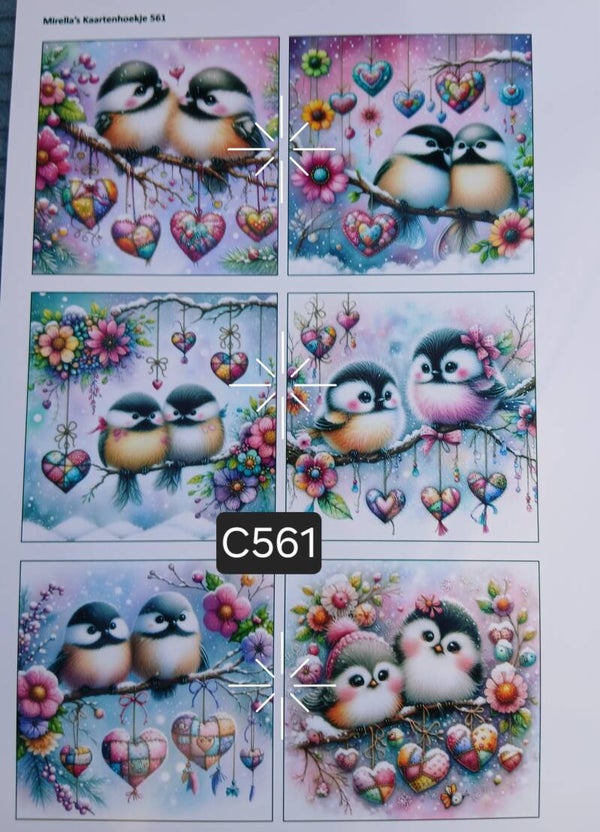 Collagevel C561