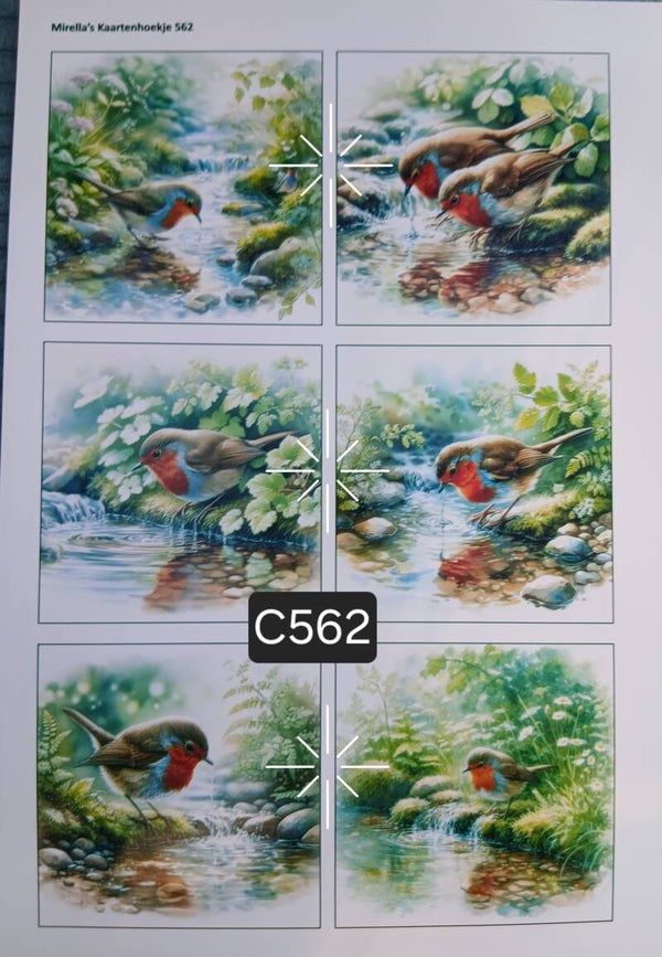 Collagevel C562