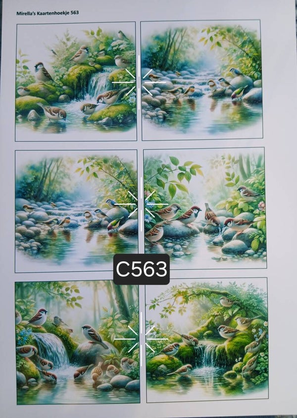 Collagevel C563