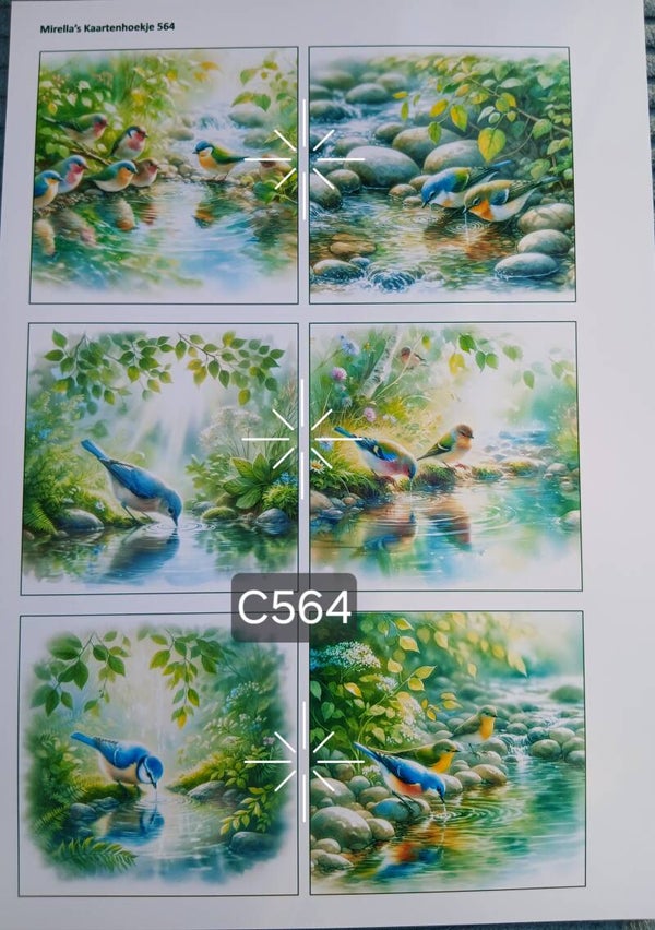 Collagevel C564