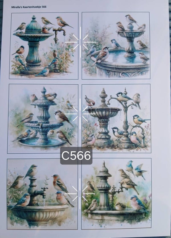 Collagevel C566