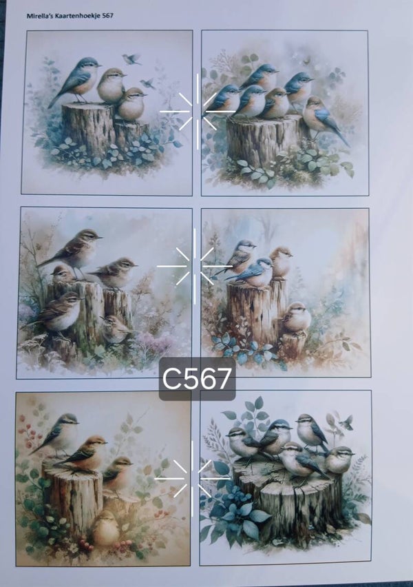 Collagevel C567