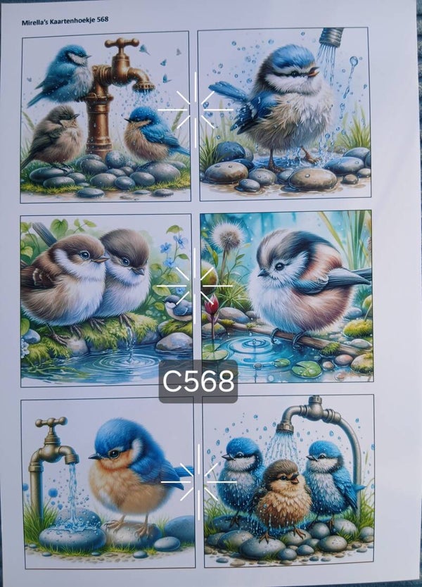 Collagevel C568
