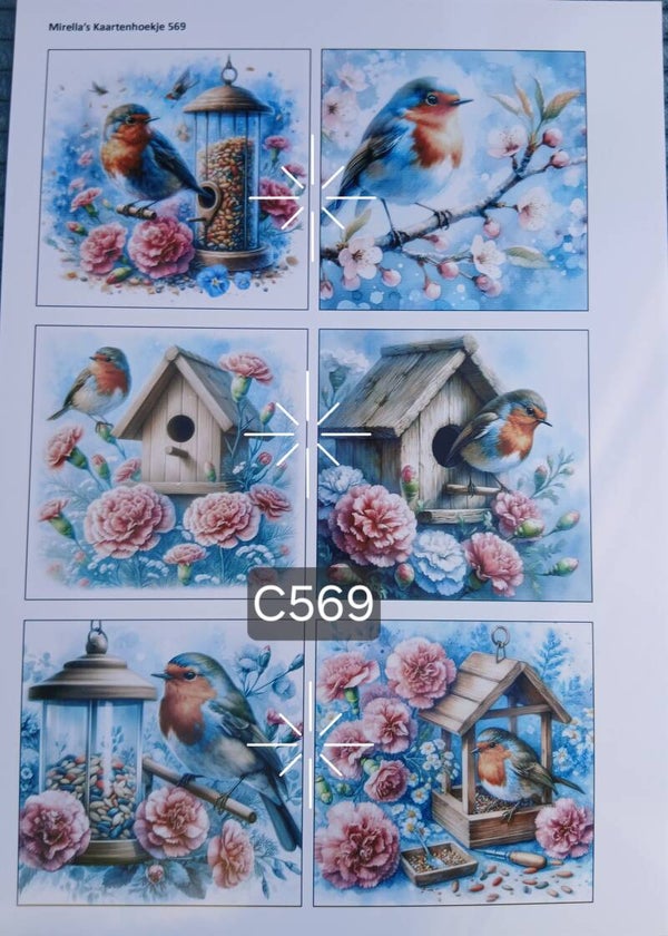 Collagevel C569