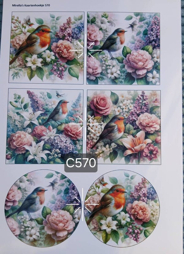 Collagevel C570