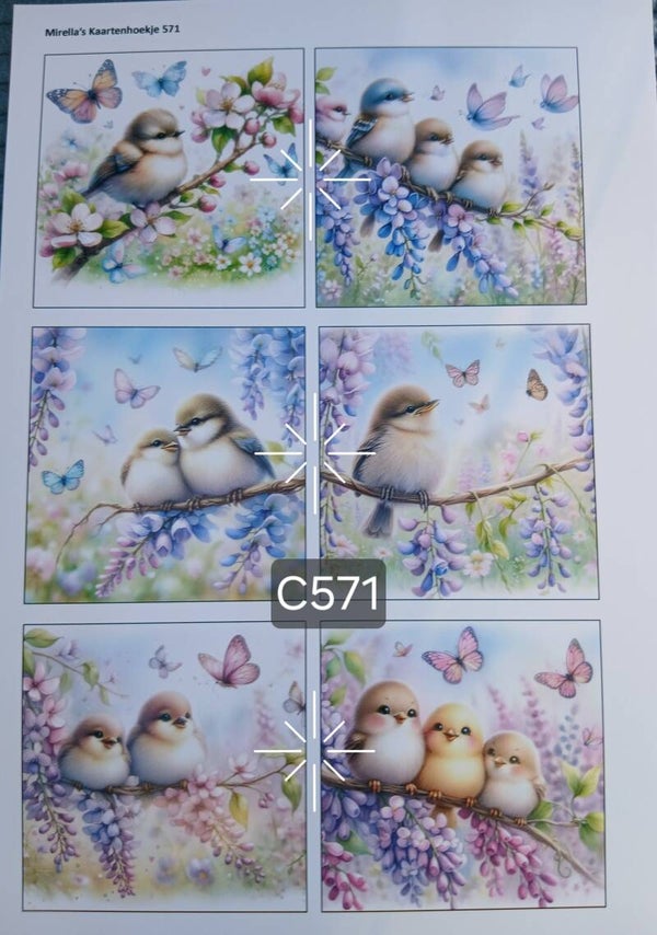 Collagevel C571