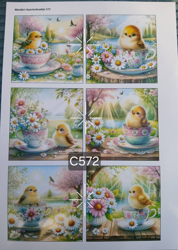 Collagevel C572