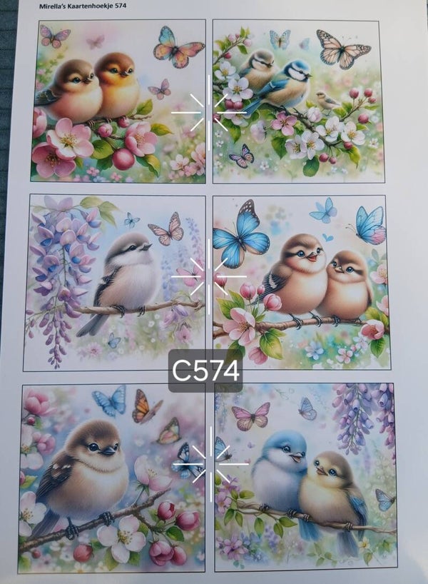 Collagevel C574