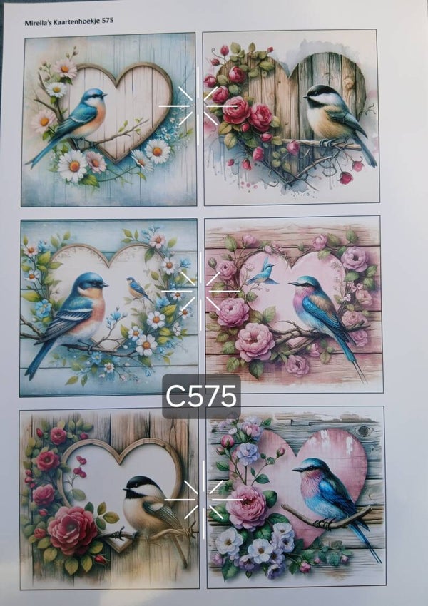 Collagevel C575