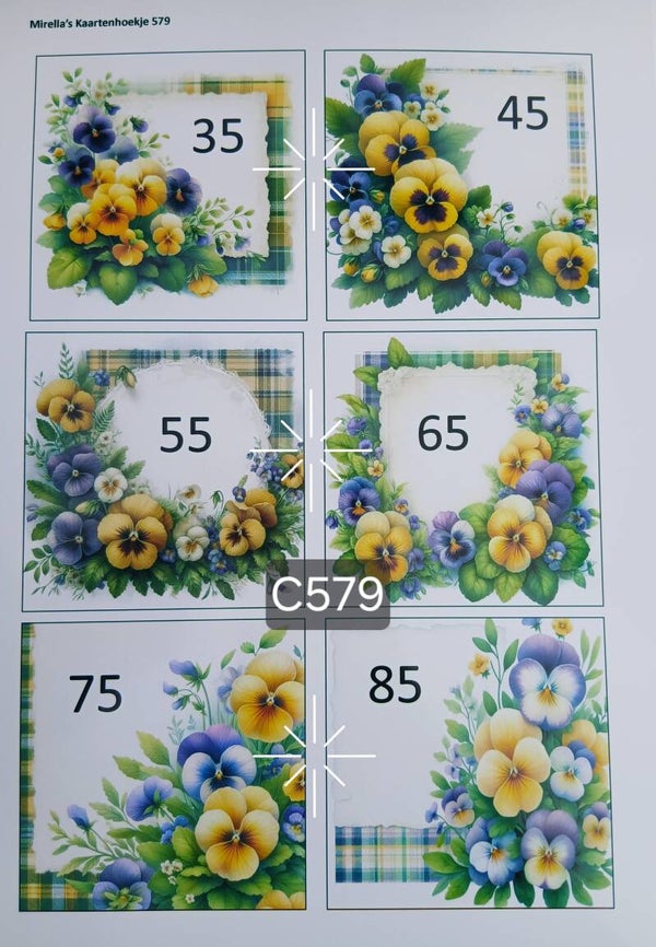 Collagevel C579