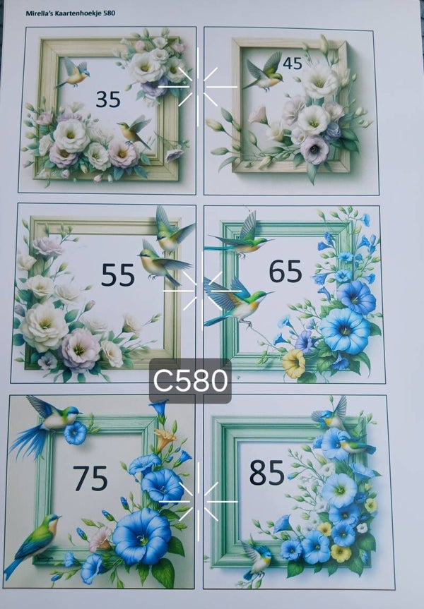 Collagevel C580