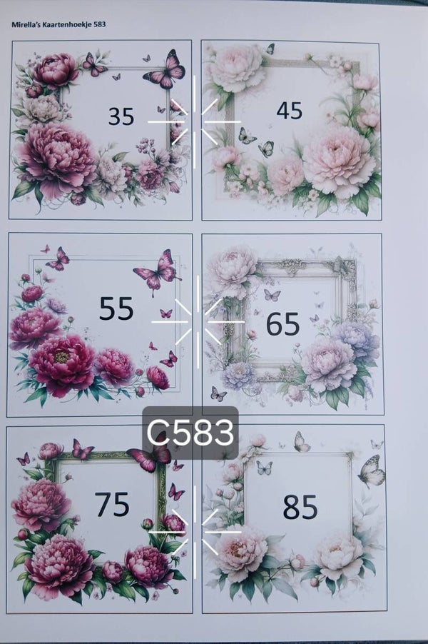 Collagevel C583