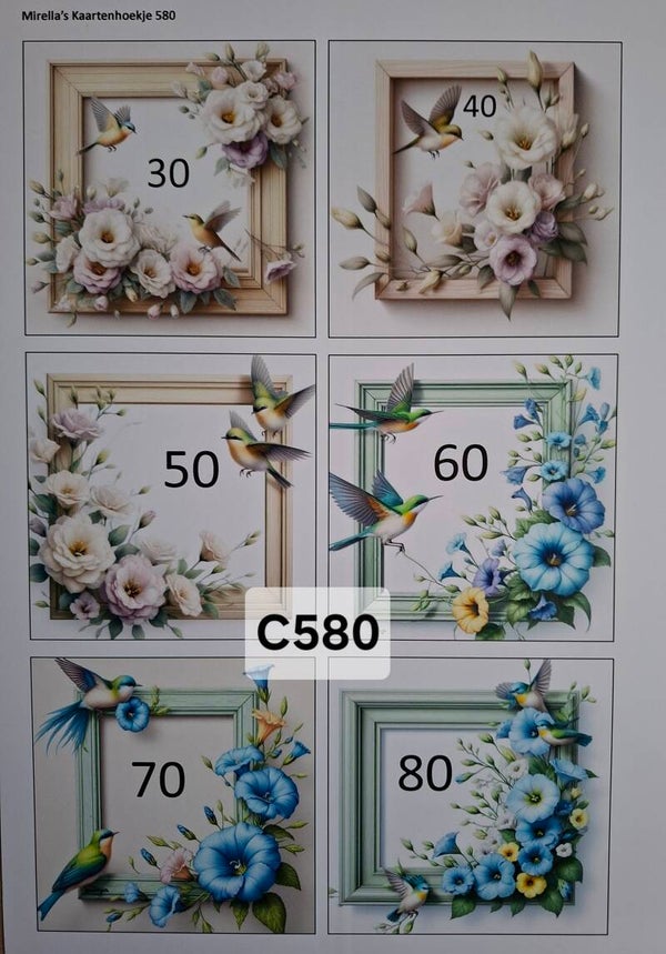Collagevel C580