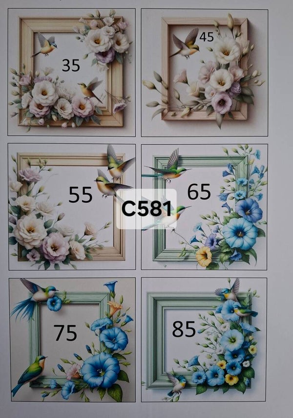 Collagevel C581
