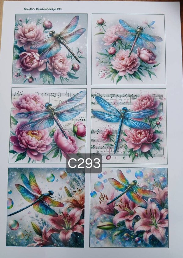 Collagevel C293