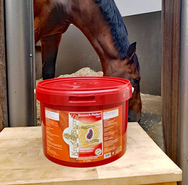 Kevin Bacon - Stomach-Protec Assist