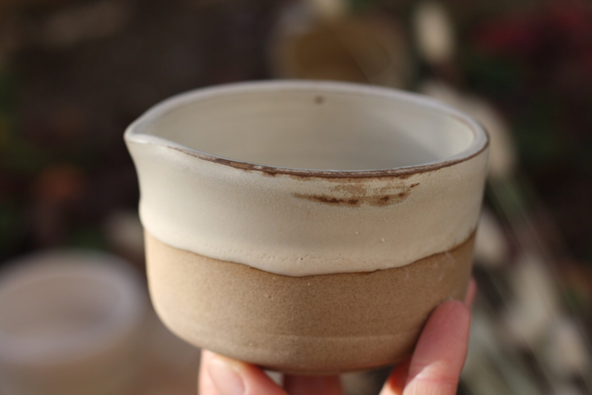 Bol à râper / Gratte-ail