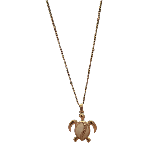 Ketting schildpad