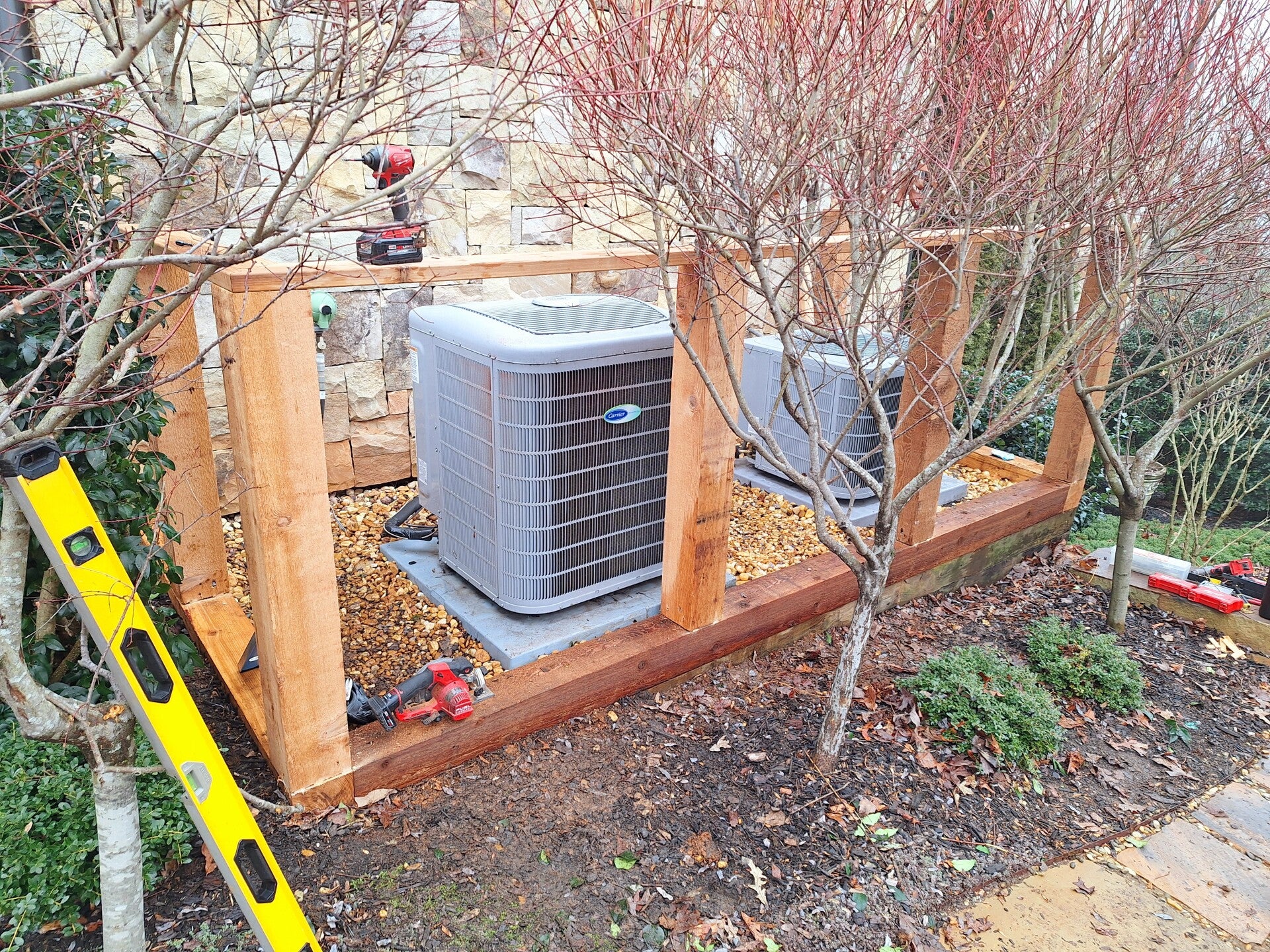 20250127_145748-standard.jpg