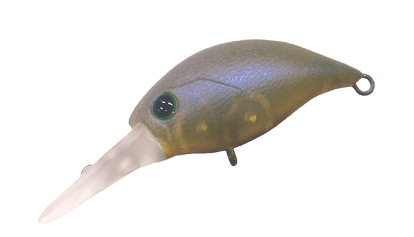 SMITH SIBO CRA DR-F COLORE 08