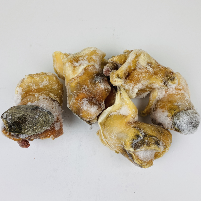 Small 急冻螺头(小) 30LB 895-1500