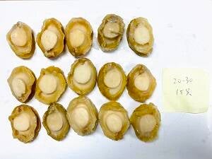 20-30 Abalone Meat 智利鲍鱼肉 28