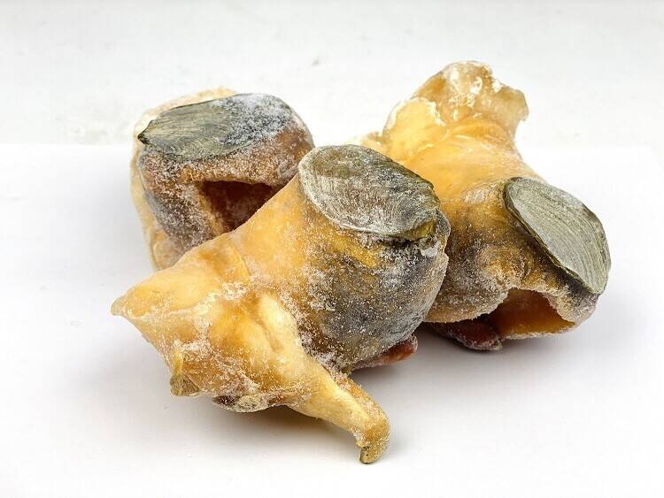 大西洋急冻螺头(XL) 30LB 1295-2000